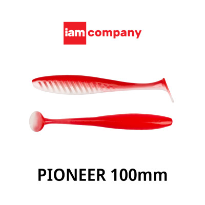 Мягкая приманка FORMAT PIONEER 100mm